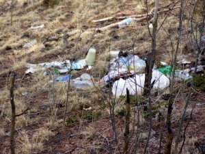 trash-rampartrangerd-2009-03-01-lah-562