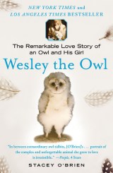 wesleytheowl