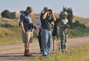 birding-along-burntmillrd_20090905_lah_0085
