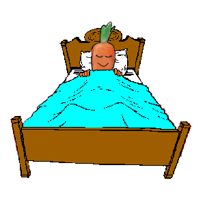 carrot-sleeping-in-bed