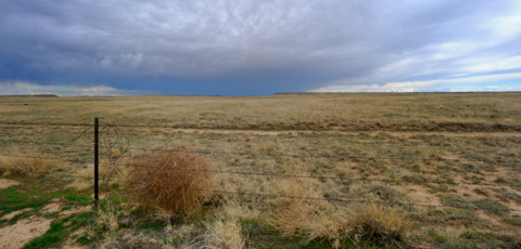 tumbleweed_commanchegrasslandsco_20100414_lah_2566