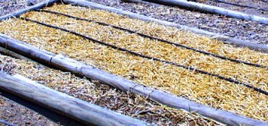 winter-beds-home-lah-7