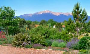 cottonwoodxg_lah_2470