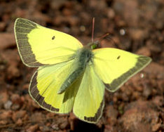 _emeraldvalley-co_lah_3246