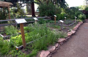 vegetable-garden_has-cospgsco_lah_0304