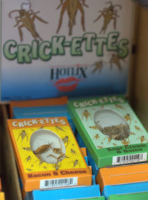 crick-ettes-boxes_butterflypavilion-co_lah_9701-1