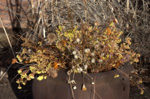 containers-in-winter_dbg_10200118_lah_6913