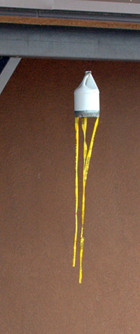 bird-issues_johnmartinressp-co_20100308_lah_9701-zoom