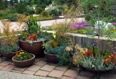 Container grouping @DBG 2008jun26 LAH 298r