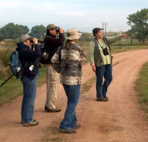 birding_venetucci_20090916_lah_06671