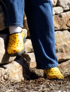 fashionable-gardening-shoes-carnegielib-16apr07-lah-754