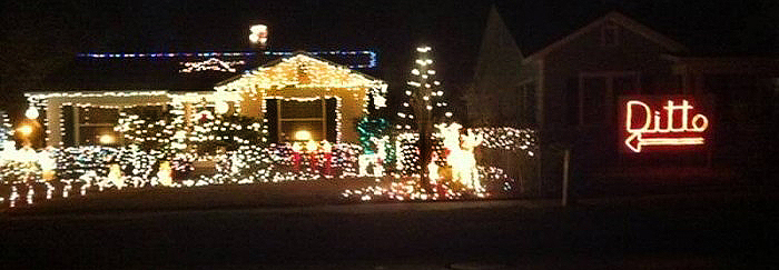 ditto-christmas-lights-2708