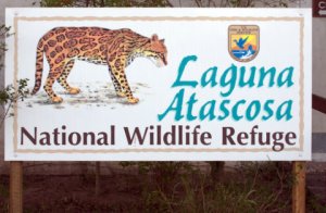 lagunaatascosanwr-tx_lah_3235