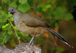 lagunaatascosanwr-tx_lah_3284