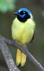 lagunaatascosanwr-tx_lah_3293