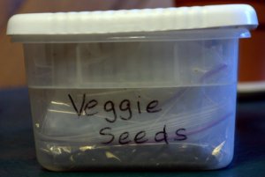 seed-box_lah_6139