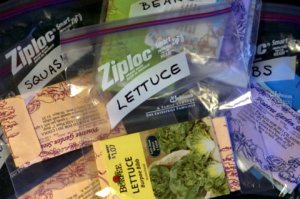 seeds-in-baggies_lah_6137