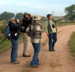 birding_venetucci_20090916_lah_0667