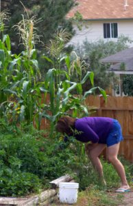 tyndale-garden-colospgs-co_lah_28371