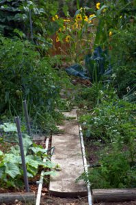 tyndale-garden-colospgs-co_lah_2841