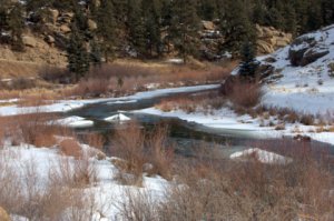 ElevenMileCyn-CO_LAH_6015