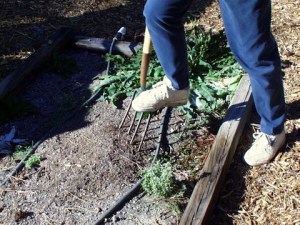 Fork soil @home PLH 1