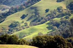 MtDiablo-CA_LAH_8608