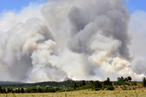 Photo by by sierachris