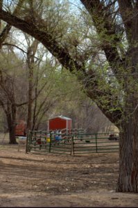 BrettGrayRanch-CO_LAH_1883