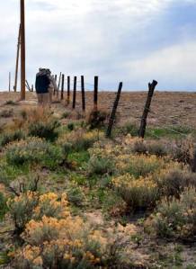 BrettGrayRanch-CO_LAH_1890-001