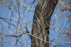 BrettGrayRanch-CO_LAH_1896