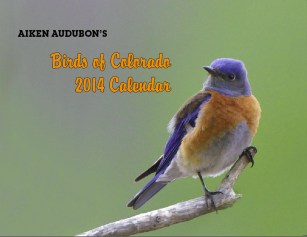 Calender cover