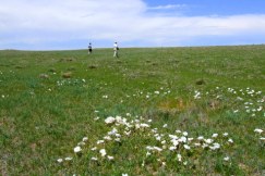 @PawneeGrasslands 12may07 LAH 734