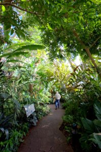 Boettcher-DBG_LAH_6632