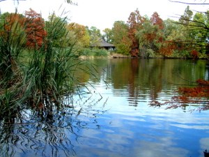 San Antonio Botanic Gardens_DSCF0691