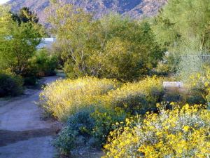 @Scottsdale 2004apr16 LAH 017