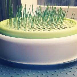 1600281_10102067729964405_162492409_n