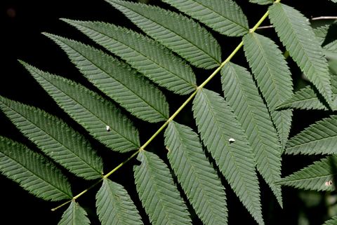 4. Denver (additional photo available)