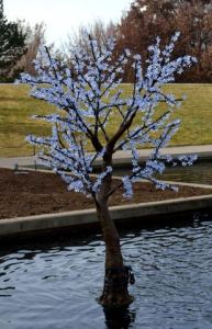 Lights on tree_DBG_LAH_4005-001