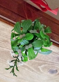 Mistletoe plastic-001