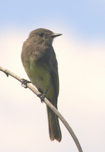 09_BurntMillRd_20090905_LAH_0214 (2)