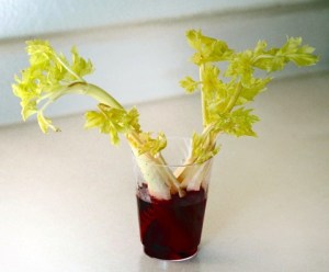 Celery in red dye - before_LAH_4870-001
