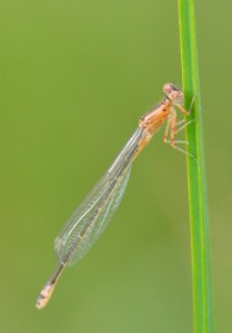 ChicoBasinRanch-CO_LAH_4084-001