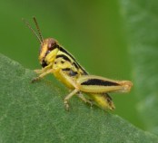 ChicoBasinRanch-CO_LAH_4094-001