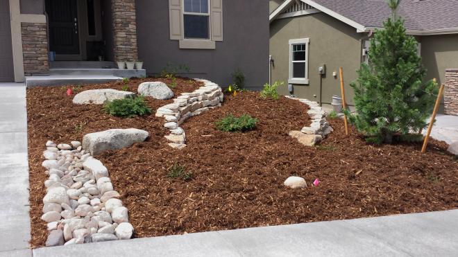 front yard 2015-08-07 11.27.53