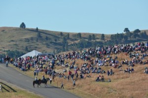 Bison roundup_CusterSP-SD_LAH_7569