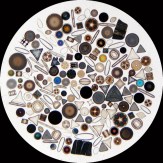 Diatoms - wc