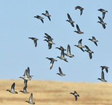 RamahSWA-CO_LAH_7988