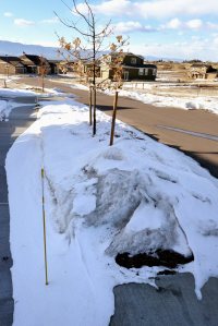Snow-covered parking strip_NSFT_COS_LAH_9308