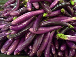Eggplant_LAH_0532